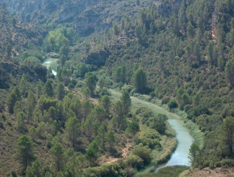 Casa Rural Parajes Del Jucar Casas de Benítez Eksteriør billede