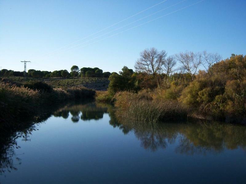 Casa Rural Parajes Del Jucar Casas de Benítez Eksteriør billede
